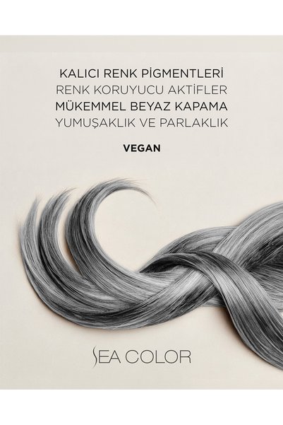 Sea Color Set Saç Boyası 0.01 Füme Gri
