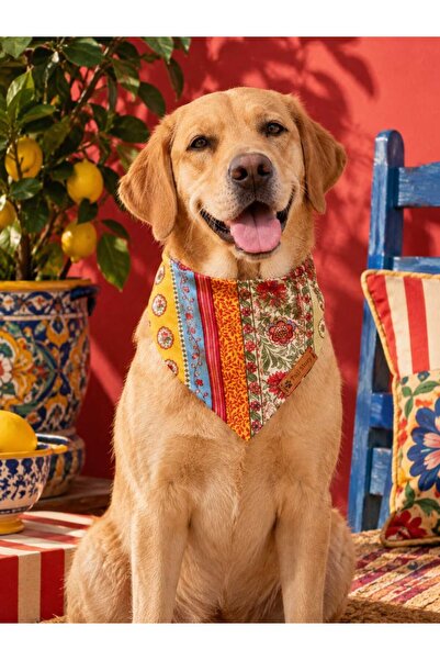 Kedi-Köpek Fuları, Hafif Ve Pamuklu Kumaş, El Yapımı, Otantik Desenli Kedi/Köpek Fuları