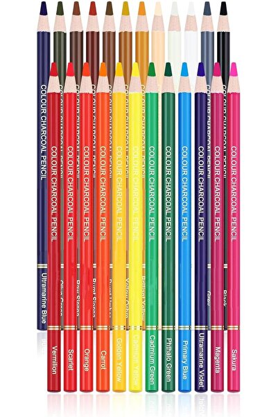 AZONEE 24 Premium Colored Charcoal Pencils, High Quality Pastel Chalk Drawing...