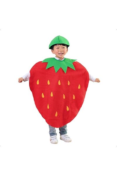 JOYZZZ Fruit Costume, Blueberry Muffin Strawberry Shortcake Dress for Girls, ...
