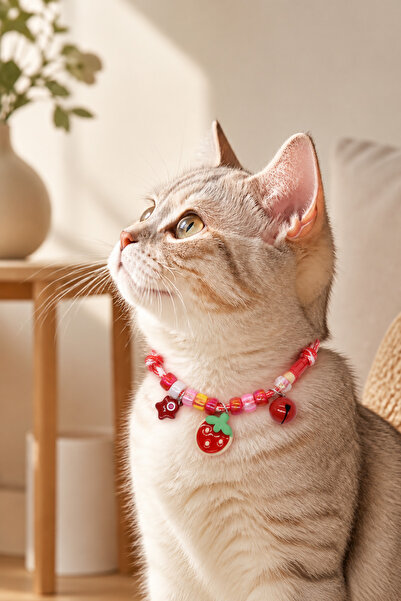 Floria Cat and Small Breed Dog Collar – Adjustable – Beaded – Figured – with Bell – Colorful Collar