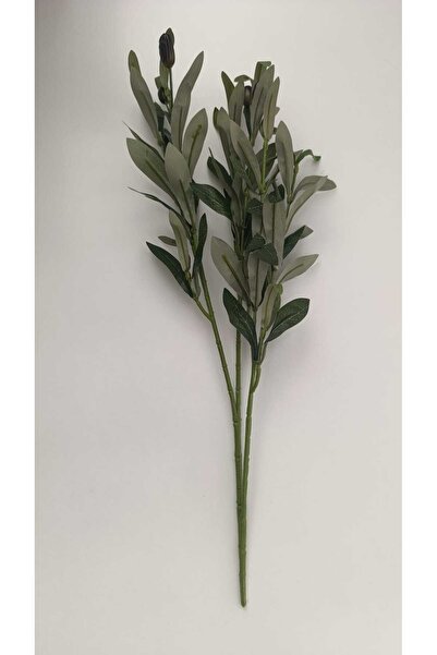 ERHAN FLOWERS Zeytin Dalı 45 CM