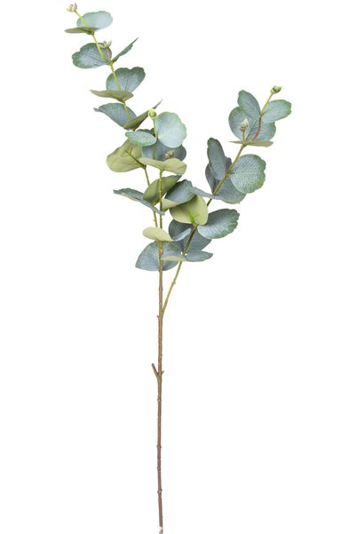 Herdekora Yapay Okaliptus Dalı, Yeşil - 75 cm
