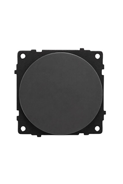 OVİVO Wog Anthracite Switch Module + Cover