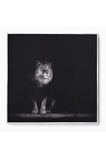 Luxcanva Tablou Canvas Leu Alb-Negru 140x140 cm cu Rama Argintiu Animal Regel...