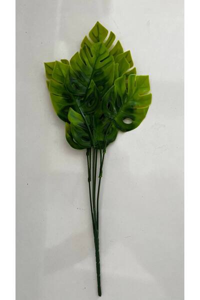 ERHAN FLOWERS Mini Monestra 5 Gövde 10 Yaprak (deve Tabanı) 40cm