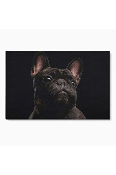 Luxcanva Tablou Canvas Bulldog in Umbra 100x70 cm pe Sasiu Lemn Bulldog in Um...