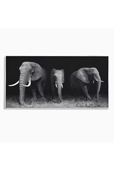 Luxcanva Tablou Canvas Umbrele Savanei 100x50 cm cu Rama Argintiu Umbrele Sav...