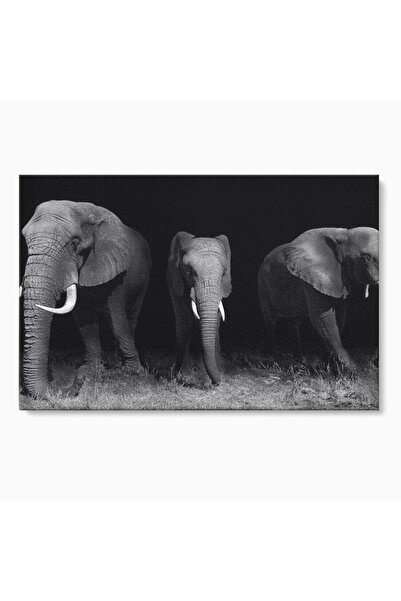 Luxcanva Tablou Canvas Umbrele Savanei 120x80 cm pe Sasiu Lemn Umbrele Savane...
