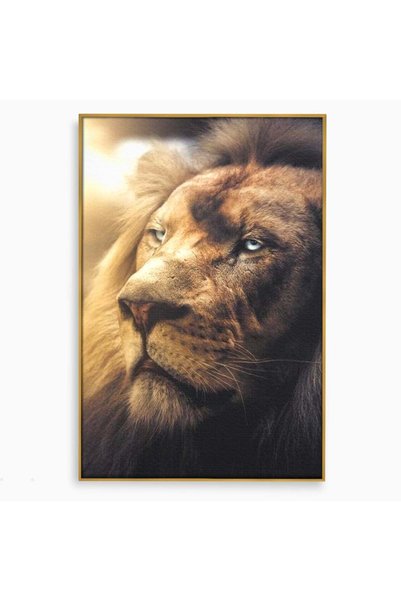 Luxcanva Tablou Canvas Privire de Gheata 80x120 cm cu Rama Auriu Privire de G...