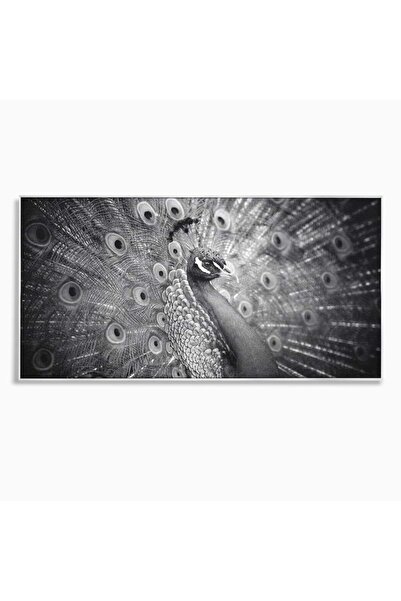 Luxcanva Tablou Canvas Paunul de Argint 140x70 cm cu Rama Argintiu Paunul de ...