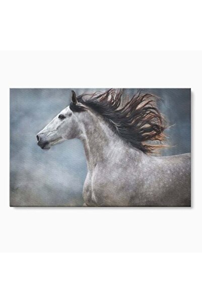 Luxcanva Tablou Canvas Nobletea Norilor 70x50 cm pe Sasiu Lemn Nobletea Noril...