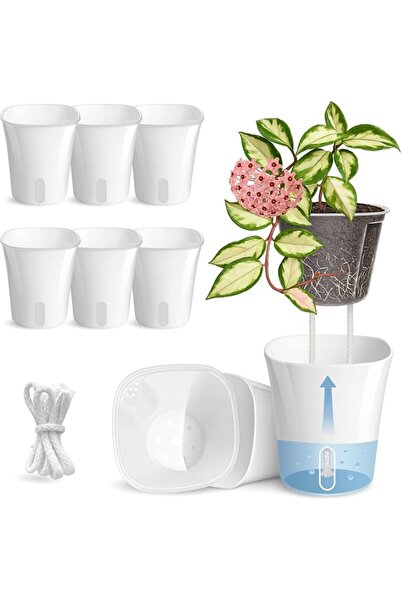 GENERAL Vanduarel 4-Inch Self-Watering Pots for Indoor Plants, Transparent In...