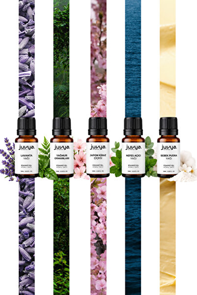 5'Li Tanışma Paketi Lavanta , Japon Kiraz Çiçeği , Yağmur Ormanları , Bebek Pudra Kokusu , 10 ml Ekonomik Paket