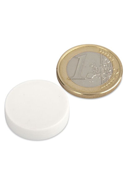 Magnitech Μαγνήτης Δίσκος Φ22x6mm με Λευκή Πλαστική Επίστρωση Νεοδυμίου, Δύνα...
