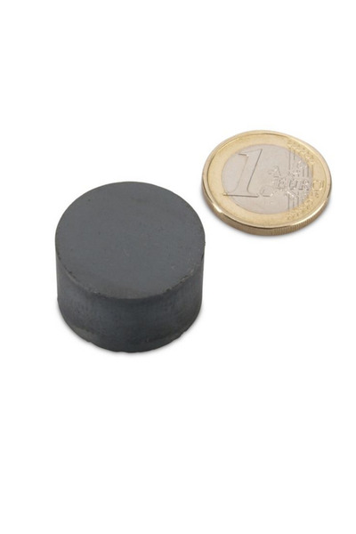 Magnitech Μαγνητικός Δίσκος Φ25x15mm Φερρίτης Δύναμη Έλξης 2.3kg