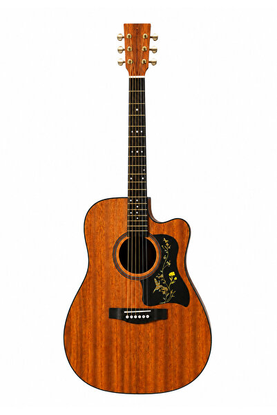 MegArya Heritage Bloom 41 Inch Acoustic Guitar, Full Size 6-String Cutaway Gu...