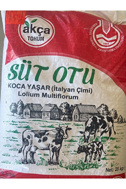 AKÇA Koca Yaşar Süt Otu İtalyan Çimi Ryegrass Tohumu 25 KG