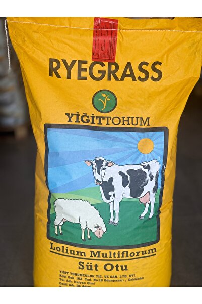 Yiğit Tohum Ryegrass Süt Otu Tohumu 25 KG (YENİ ÜRÜN)