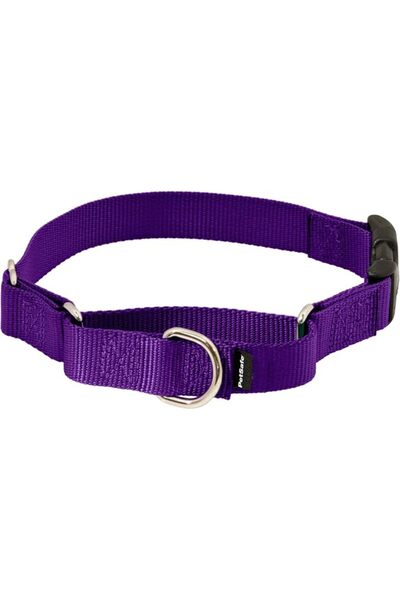 PetSafe Martingale Collar with Quick Snap Buckle, 3/8" Petite, Deep Purple