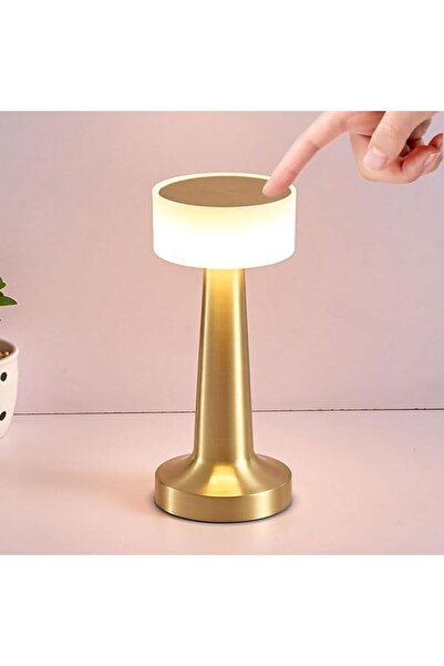 MultiGO MB® Cordless Table Lamp, Rechargeable Touch Control LED Desk Lamp wit...