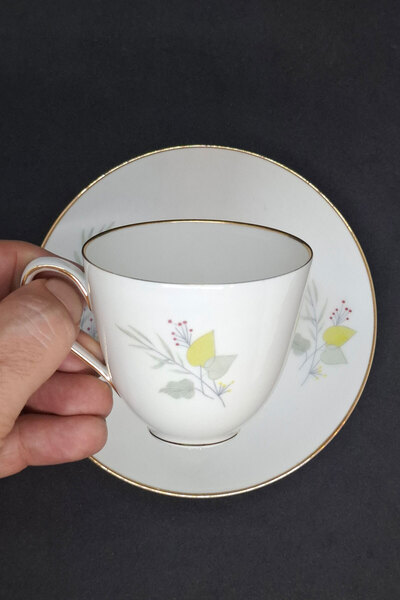 Bavaria Tirschenreuth Hackefors Vintage Coffee Cup 100 ml