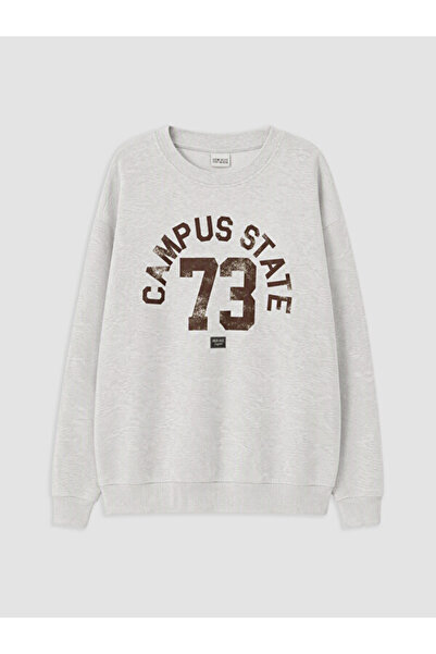 LC Waikiki Printed boy's sweatshirt