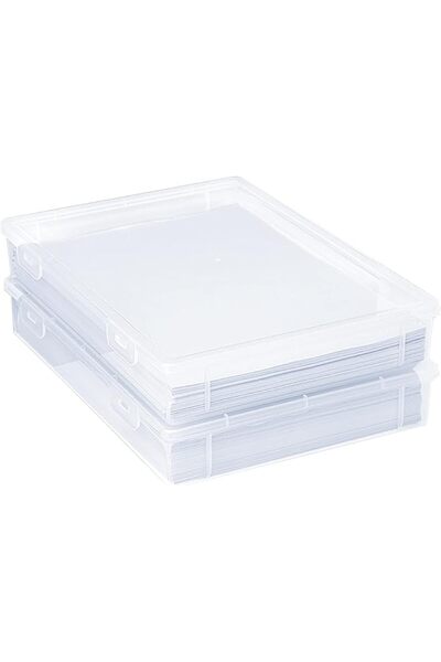 TERRIFI 2 Pack Plastic Multi-Purpose Storage Box with Latching Lids, Clear A4...