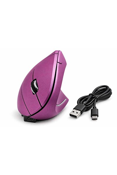 Cloody Mor Kablosuz Dikey Ergonomik Mouse Type-C Şarj Edilebilir 2.4G Bağlantı