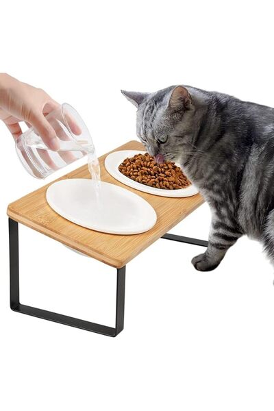 BokSung Raised Cat Food Bowl Elevated Kitty Dish 2 Ceramic Bowls,15° Tilted R...