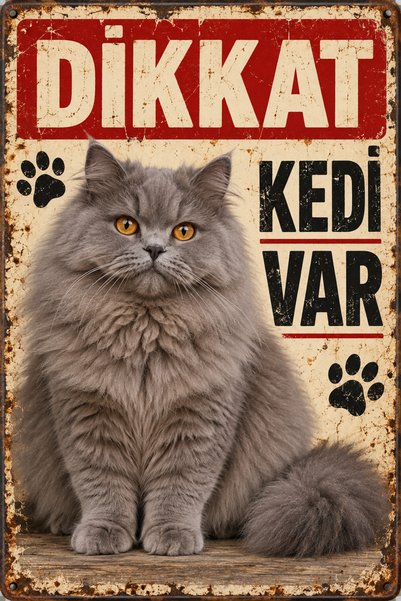 Lucena British Longhair Beware of the Cat Retro Metal Wall Sign Decorative Pl...