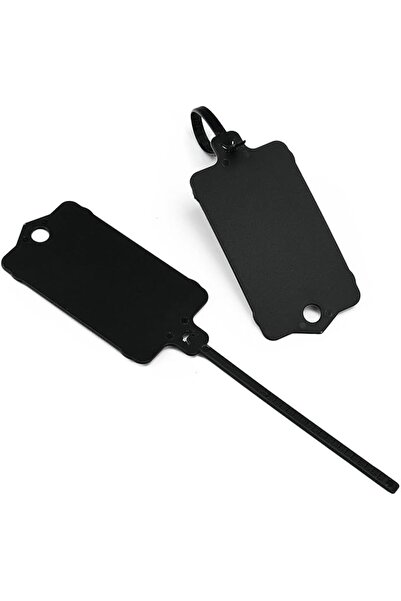 KASTWAVE Plastic Shipping Tags, 100 Pcs Blank Plastic Tags for Labeling, Self...