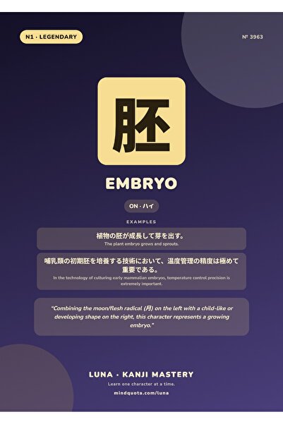 OEM Poster Infografic Kanji Embrio, Scriere Japoneza, Carton 250g, A4