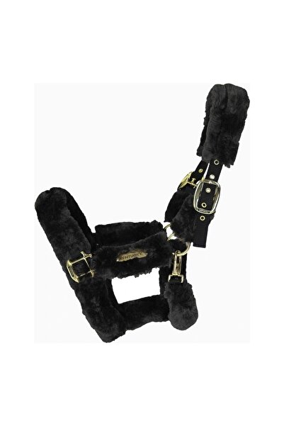 KENTUCKY HORSEWEAR Kuzu Postlu Transport At Halteri