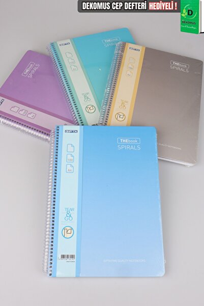 Faber Castell Original Gıpta Spiral 2 Square and 2 Striped Notebooks, 100 She...