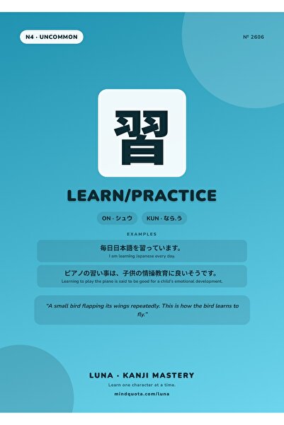 OEM Poster Infografic Kanji 習 Învățare și Exersare Scriere Japoneză, Carton 2...