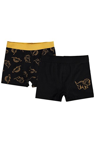 Civil Boys Civil Erkek Çocuk Dinosaurs Erkek Çocuk 2'li Boxer | Likralı Süpre...