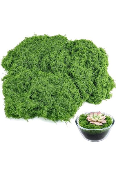 Ctoby Artificial Moss,100g Fake Green Moss for Potted Plants,Premium Faux Gre...