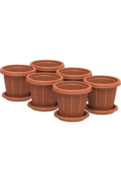 Cosmoplast مجموعة أواني زهور سيدارجرين مقاس 8 بوصات مع صينية، طقم من 6 قطع