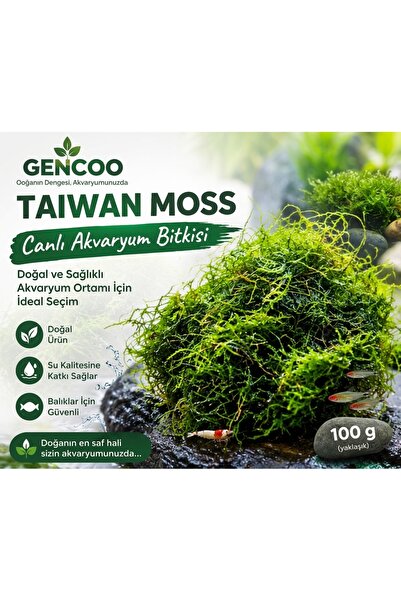 TheGencoo Gencoo Taiwan Moss Akvaryum Bitkisi Canlı Moss Yosun 100 gr