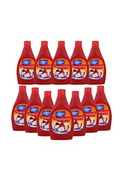 american garden Strawberry Syrup 12 x 680 g