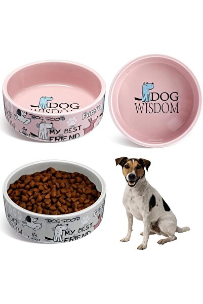 TERRIFI 2 Pcs 5 Inch Ceramic Dog Bowls, Cartoon Pattern Cat and Dog Food Bowl...