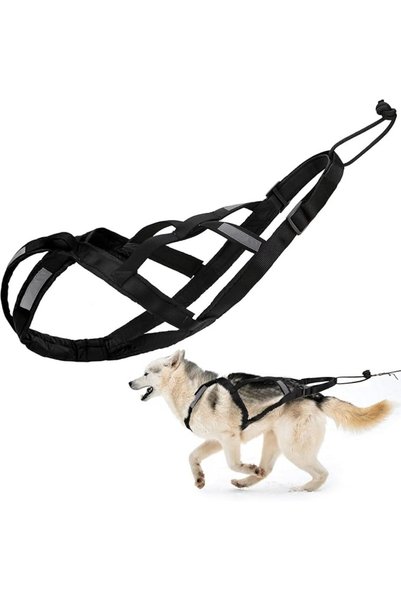 Caividom حزام سحب للكلاب (مقاس M، اسود) لتمرين زلاجات الكلاب،Dog Pulling Harn...