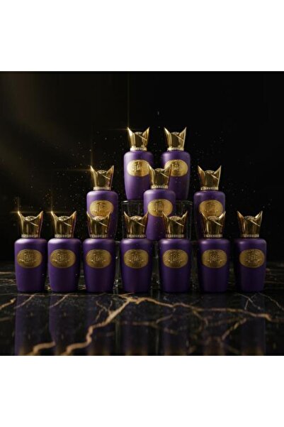 Fanccy AXCENTO Perfume Set for Unisex, 12 Pieces, 25 ml Each, Eau de Parfum, ...