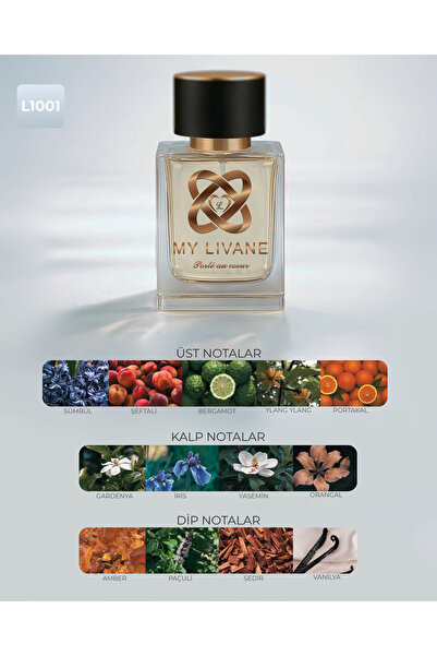 My Livane L1001 Erkek Parfümü EDP 50 ml – Odunsu & Meyvemsi