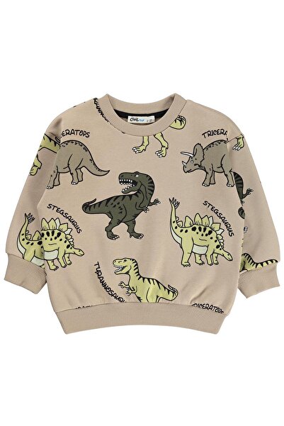 Civil Boys Civil Boy's Dinosaur Printed Sweatshirt |   3 Thread Long Arm |   ...