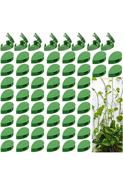 Generic مشابك تثبيت النباتات على الجدران، على شكل ورقة، ذاتية اللصق، عبوة من ...