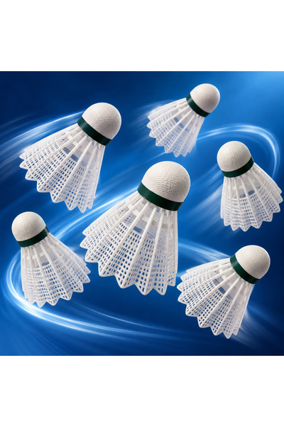 RCO Set 6 fluturasi badminton FLOTT din nylon si cap din spuma EVA, FBD0653
