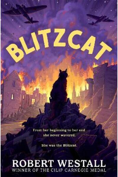 Macmillan Children'S Books Blitzcat