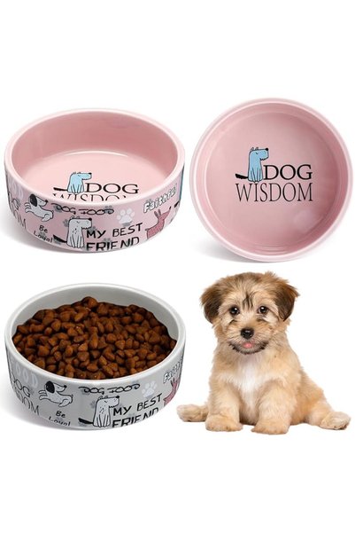 TERRIFI Ceramic Pet Bowl Set for Food and Water, 2 Piece 5 Inch Cartoon Cat B...